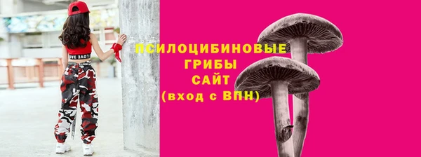 apvp Абаза