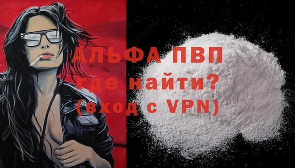 индика Алексин