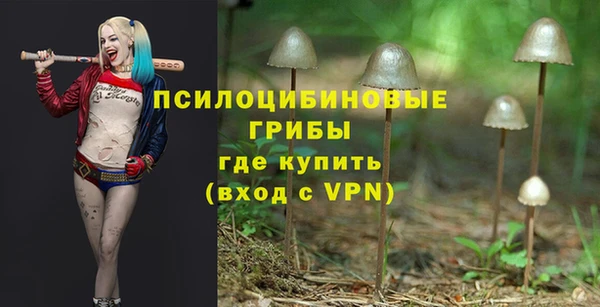индика Алексин