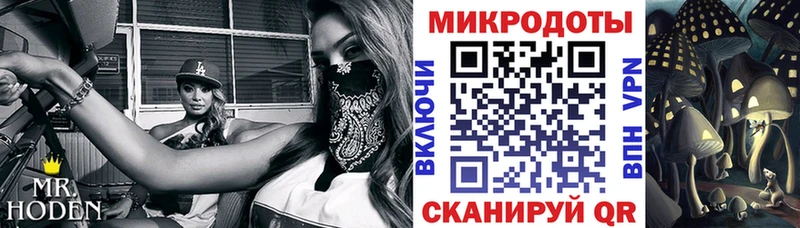 сколько стоит  Севастополь  Галлюциногенные грибы Psilocybine cubensis 